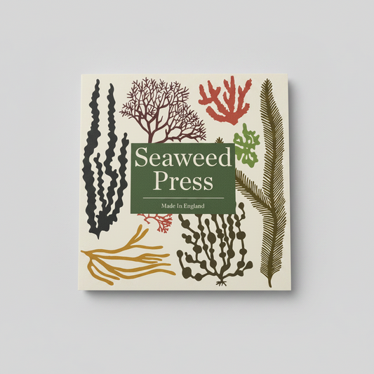 Seaweed Press Kit - Small