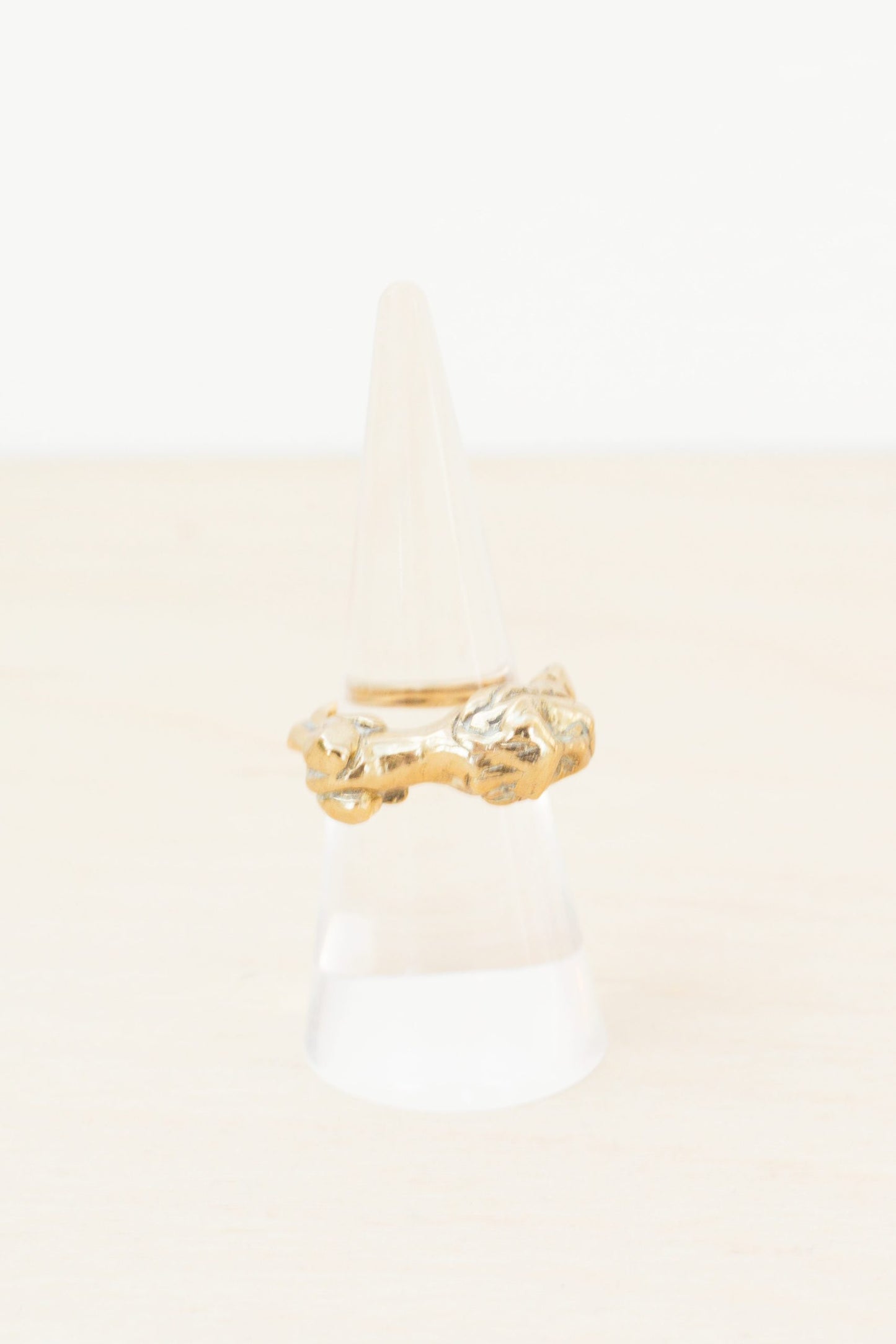 HOUSE OF AQUILA - Leo Ring