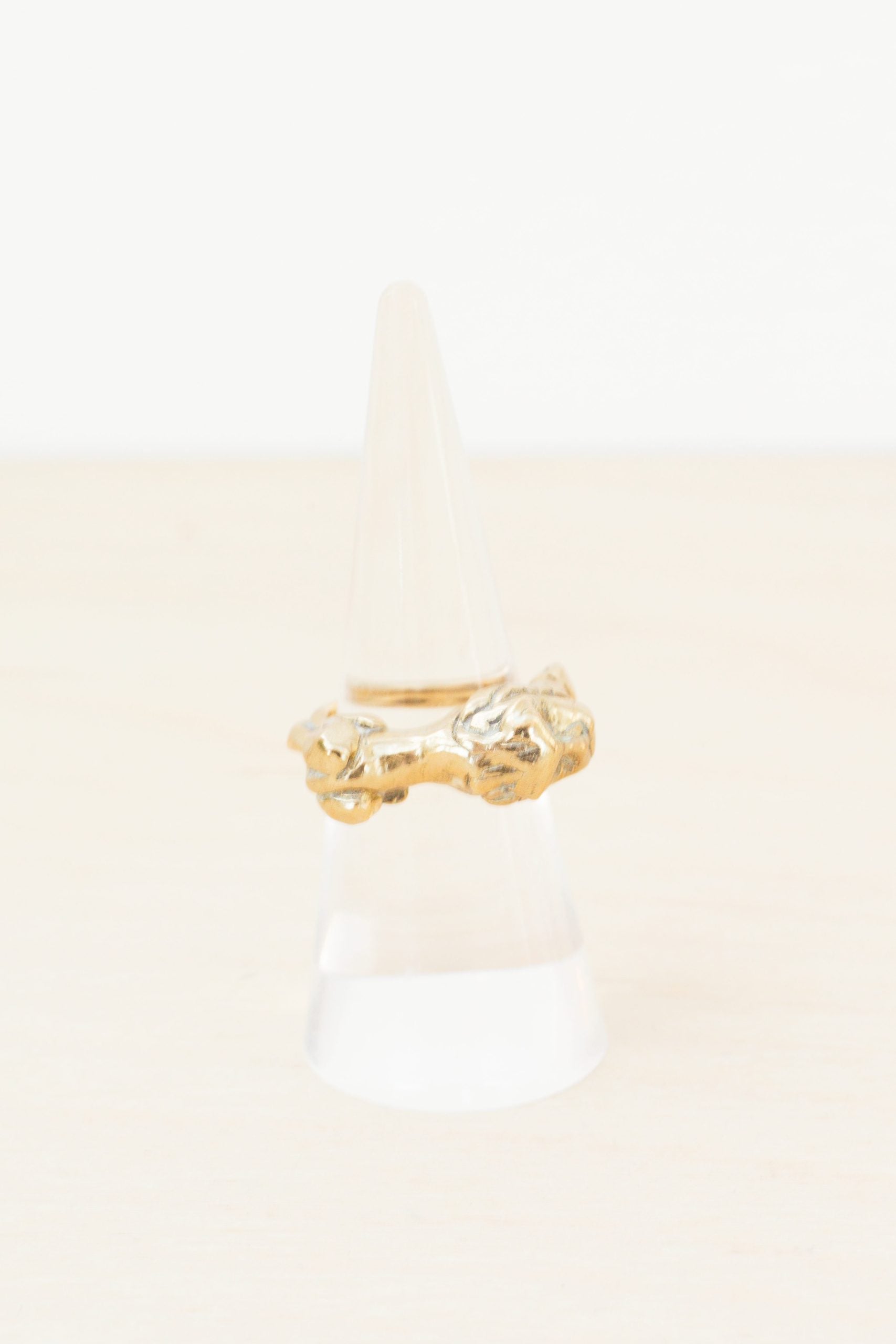 HOUSE OF AQUILA - Leo Ring