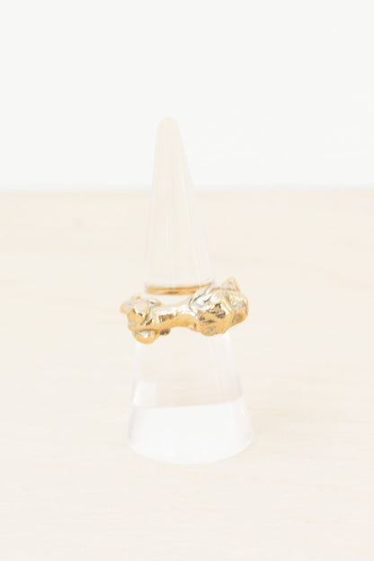 HOUSE OF AQUILA - Leo Ring