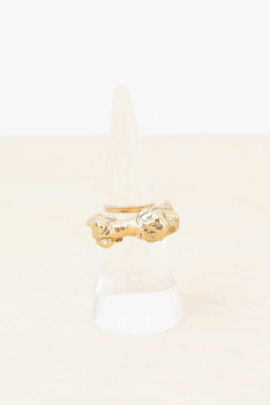 HOUSE OF AQUILA - Leo Ring