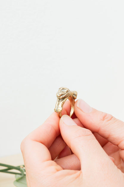 HOUSE OF AQUILA - Leo Ring