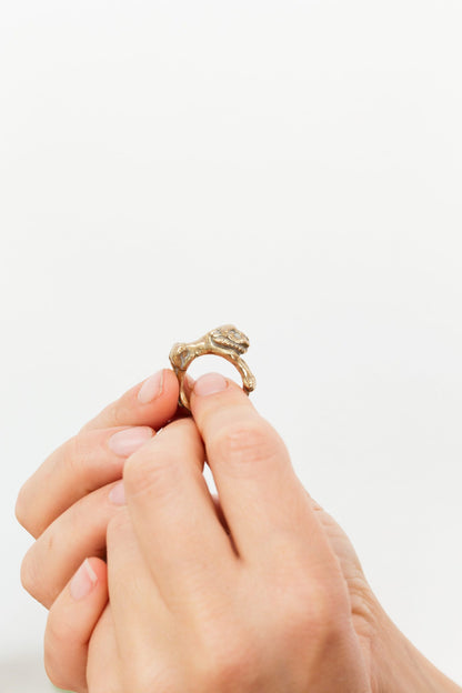 HOUSE OF AQUILA - Leo Ring