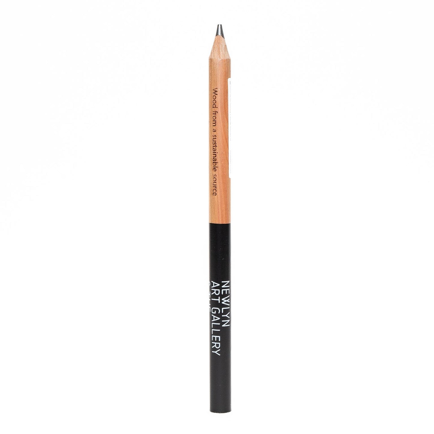 Newlyn Art Gallery - Pencil