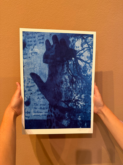 Libita Sibungu: Wild Seed (detail) print & Cyanotype DIY kit bundle